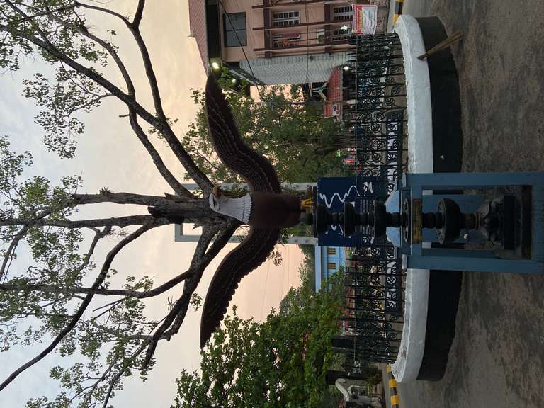 Guruvayur Live