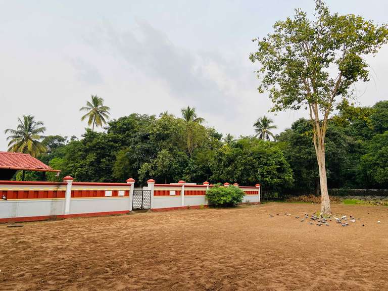 Guruvayur Live