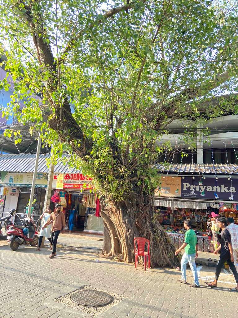Guruvayur Live