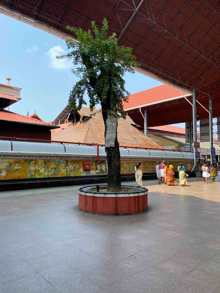Guruvayur Live