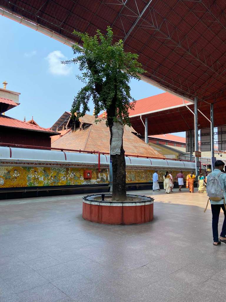 Guruvayur Live