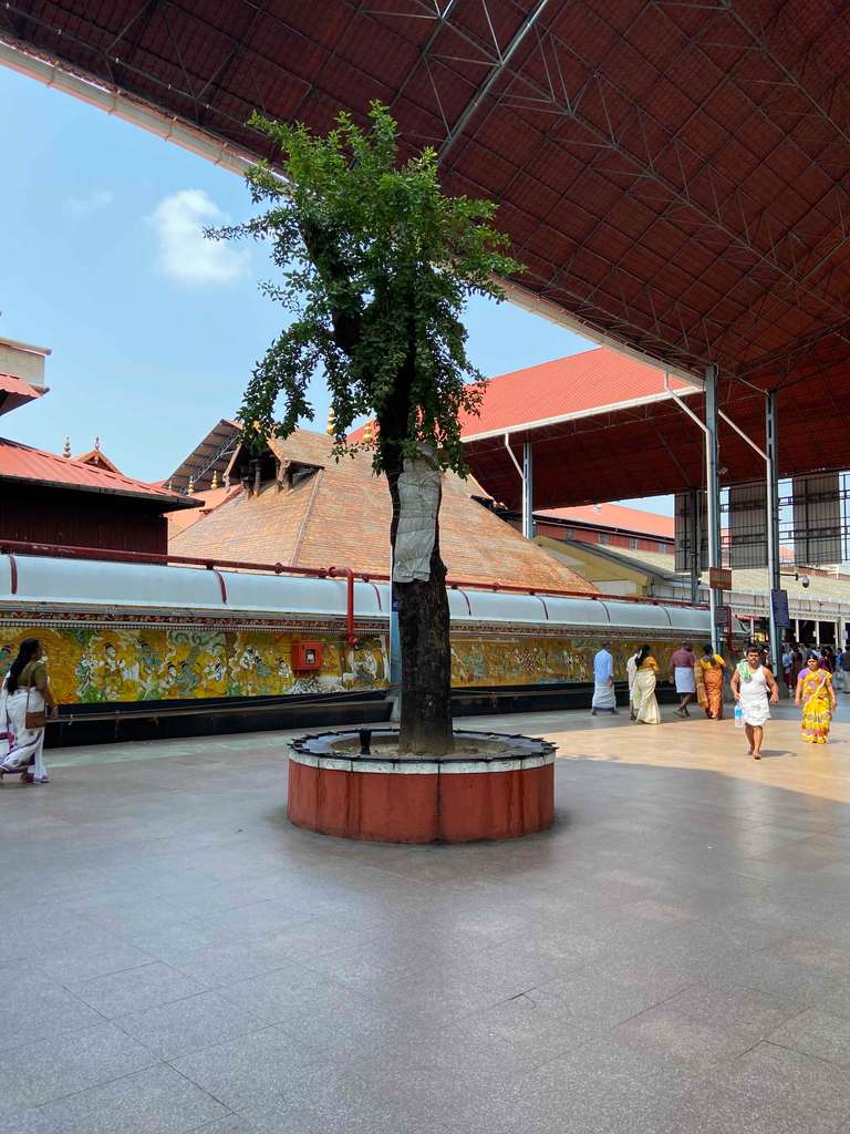 Guruvayur Live