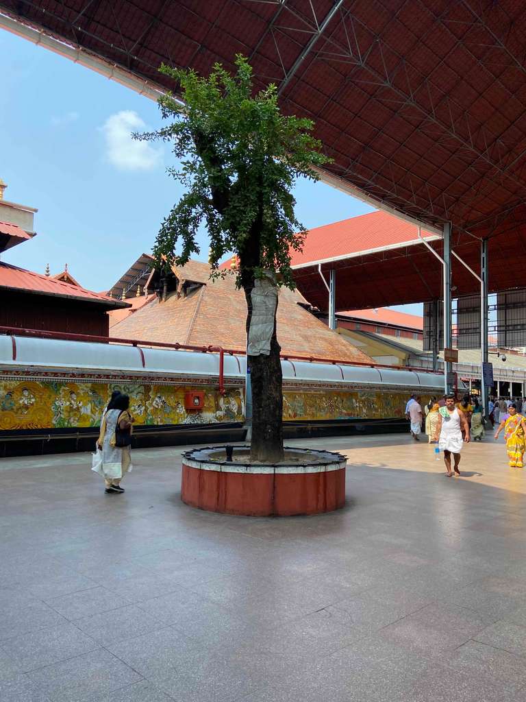 Guruvayur Live