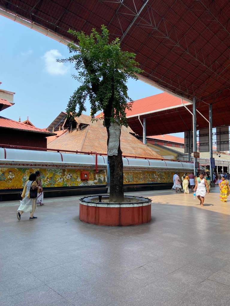 Guruvayur Live