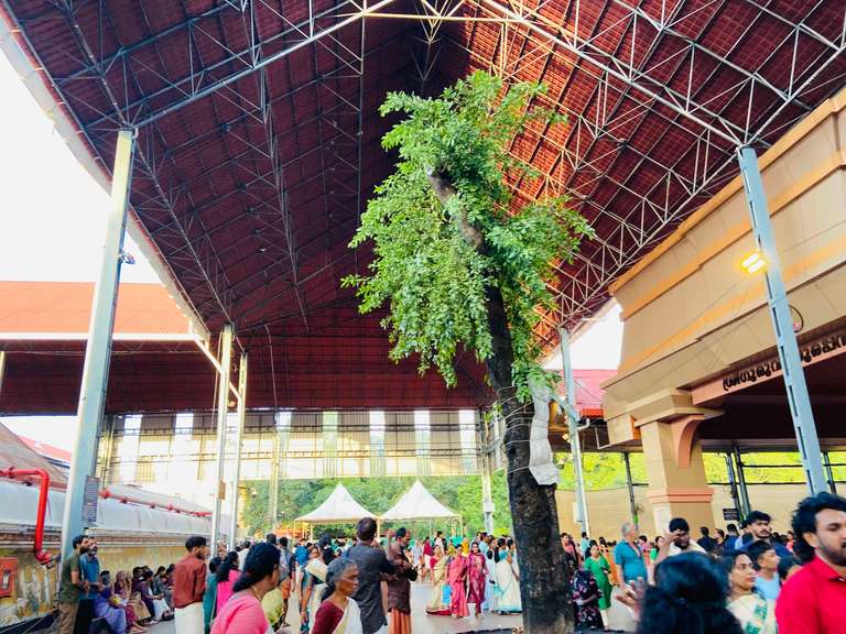 Guruvayur Live