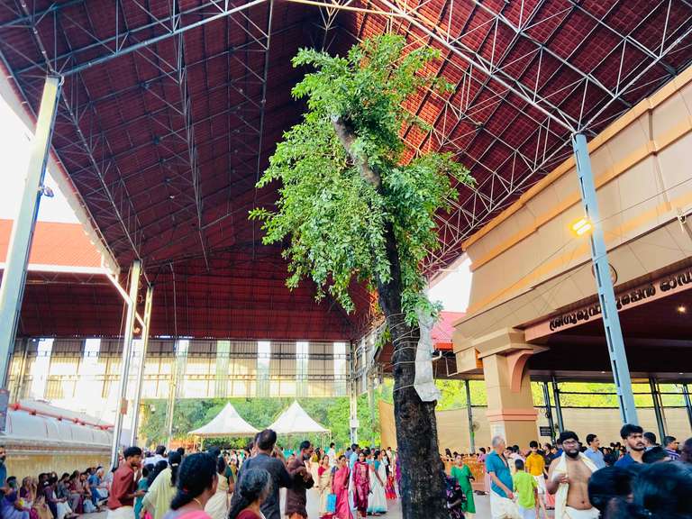 Guruvayur Live
