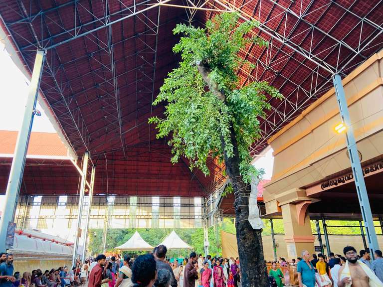 Guruvayur Live