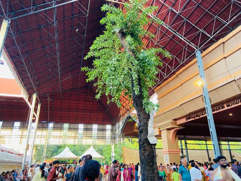 Guruvayur Live