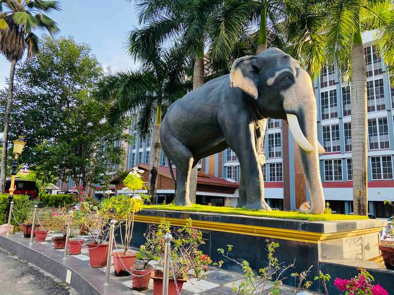 Guruvayur Live